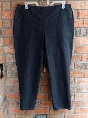 Classic JMS Just My Size Easy Comfort Stretch Womens Pull On Pants Gray Size 2X